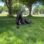 GeraldandAggie Harder - @geraldharder - Instagram