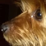 Gerald O'hare - @oharegerald - Instagram