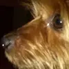 geraldohare - @geraldohare - TikTok