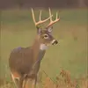 gerald_herbert - @gerald_herbert - TikTok