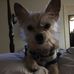 Geraldine Higginbotham - Facebook