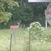 Jerry Hollifield - Facebook