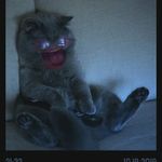 Gerald Houle - @gerald._.howls - Instagram