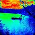 Gerald Hoyt - Facebook