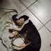 Gerald Huang - Facebook