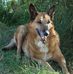 Gerald Humbert - Facebook