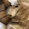 geraldo.hydedryden - @geraldo.hydedryden - TikTok