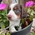 Jerry Ingalls - Facebook