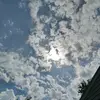 GWEV_IJEV - @gerald.jaffet - TikTok
