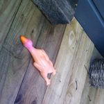 Gerald Peter Jeffrey-Harrison - @gerald.the.chicken - Instagram