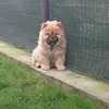 Jeffrey Hart - @jeffrey.gerald0 - TikTok