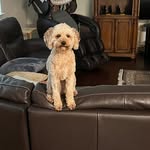 Gerald Killian - @geraldkillian3 - Instagram