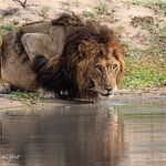 Gerald Knight - @geraldsphotographicjourney - Instagram