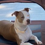 Gerald Knight - @sirgak378 - Instagram