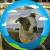 Gerald Knight - @gerald.knight2 - TikTok