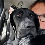 gerald köhl - @kohl_gerald - Instagram