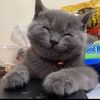 Geraldine Kovacs - @geraldinekovacs361 - TikTok