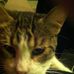 Gerald Kress - Facebook