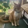geraldinelaird66 - @geraldinelaird66 - TikTok