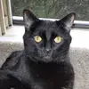 Gerald Lamm - @gerald.lamm - TikTok