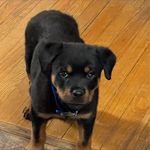 Gerald Lambert - @gatorman1962 - Instagram