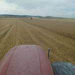 Gérald Lambert - @geraldlambert48 - Instagram