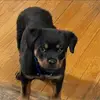 geraldlambert330 - @geraldlambert330 - TikTok