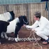 Gerard Lammers936 - @gerardlammers936 - TikTok