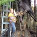 Gerald Lamontagne - Facebook