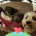 Gerald Lange - Facebook