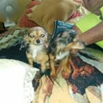 Gerald Lange - @gelange53 - Instagram