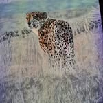 Gerald Lange - @gepela66 - Instagram