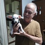 Geraldo Martins Lopes - @geraldinholiberty - Instagram