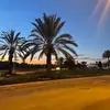Gerald Livermore - @geraldlivermore403 - TikTok