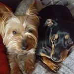 Geraldine Lofthouse - @glofty1961 - Instagram