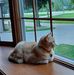 Gerald Loos - Facebook