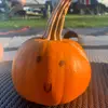 Gerald The Pumpkin - @gerald.the.pumpkin - TikTok