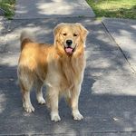 Gerald luska - @luska_gerald0 - Instagram