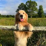 Gerald Luska - @gerald.luska - Instagram