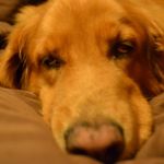 Gerald Lyons - @gerald.lyonsbrennanno1 - Instagram