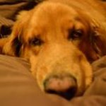 Gerald Lyons - @geraldlyons4139 - Instagram