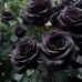Gerald Mabry - Facebook