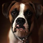 Gerald Mackay - @geraldmackay3304 - Instagram