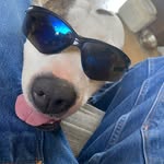 Gerald Squrl Mahon - @squrlsockz - Instagram