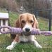 Gerald Marchal - Facebook