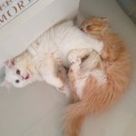Gerald Marcum - @acetymperma - Instagram