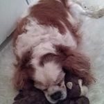 Geraldine Massey - @geraldine.massey - Instagram