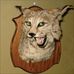 Gerald McClung - Facebook