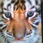 Gerald Mcelrath - @mcelrathgerald - Instagram
