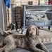 Jerry McHenry - Facebook
